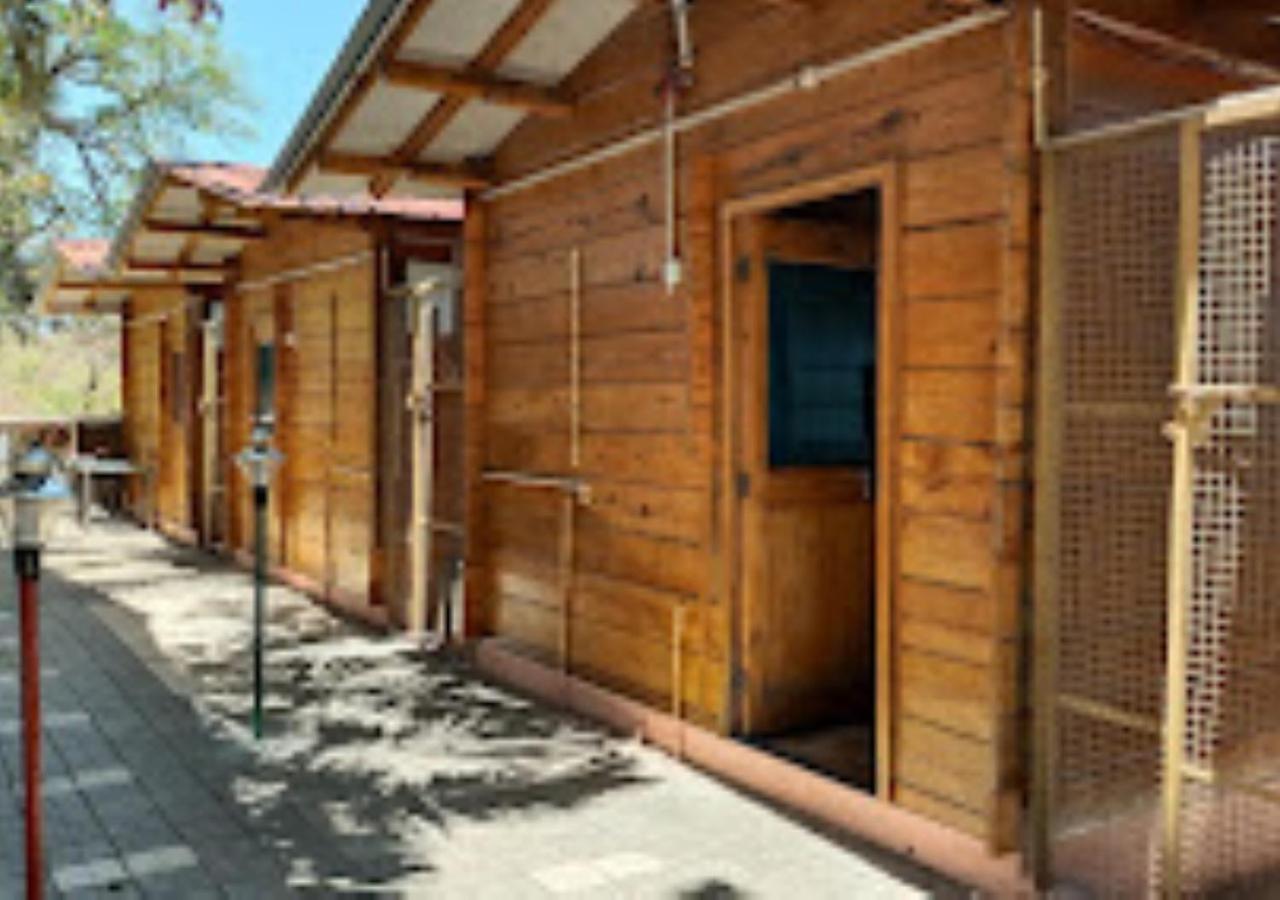 Kaas Woods Resort Yavateshwar Satara Εξωτερικό φωτογραφία